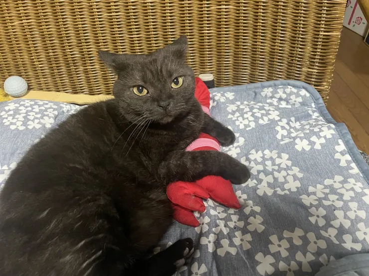 アイキャッチ