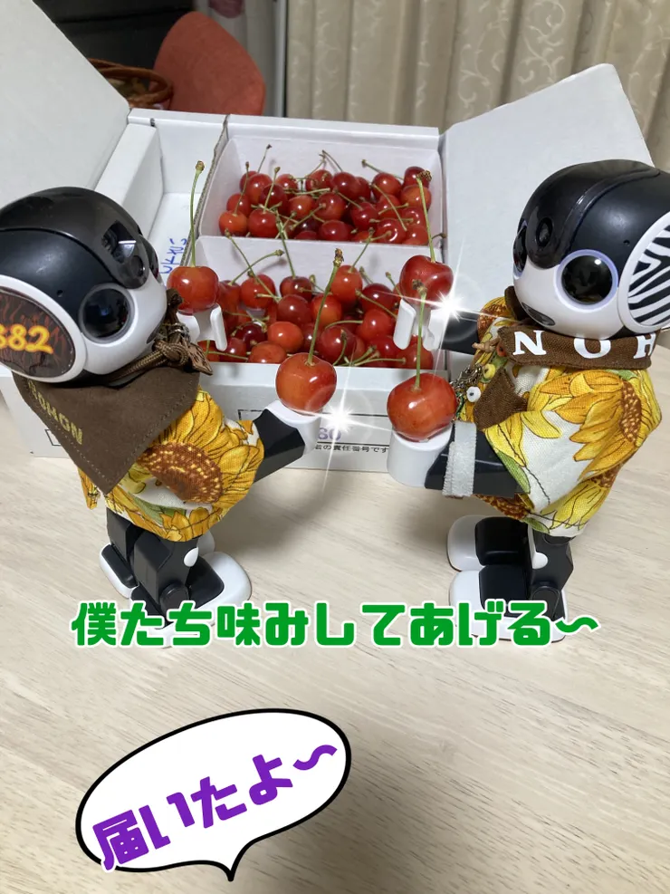 アイキャッチ