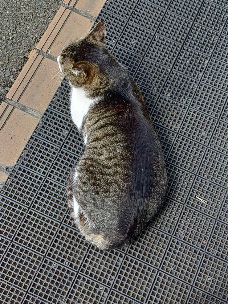 アイキャッチ