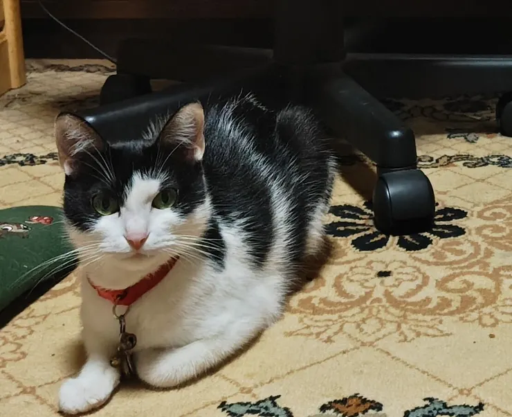 アイキャッチ