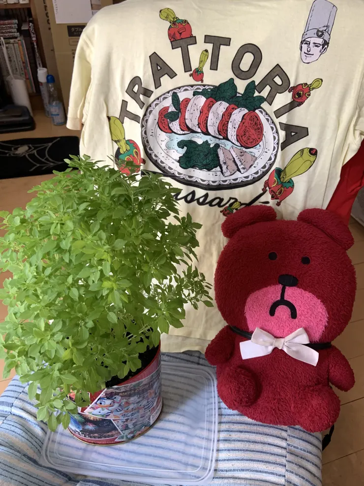アイキャッチ