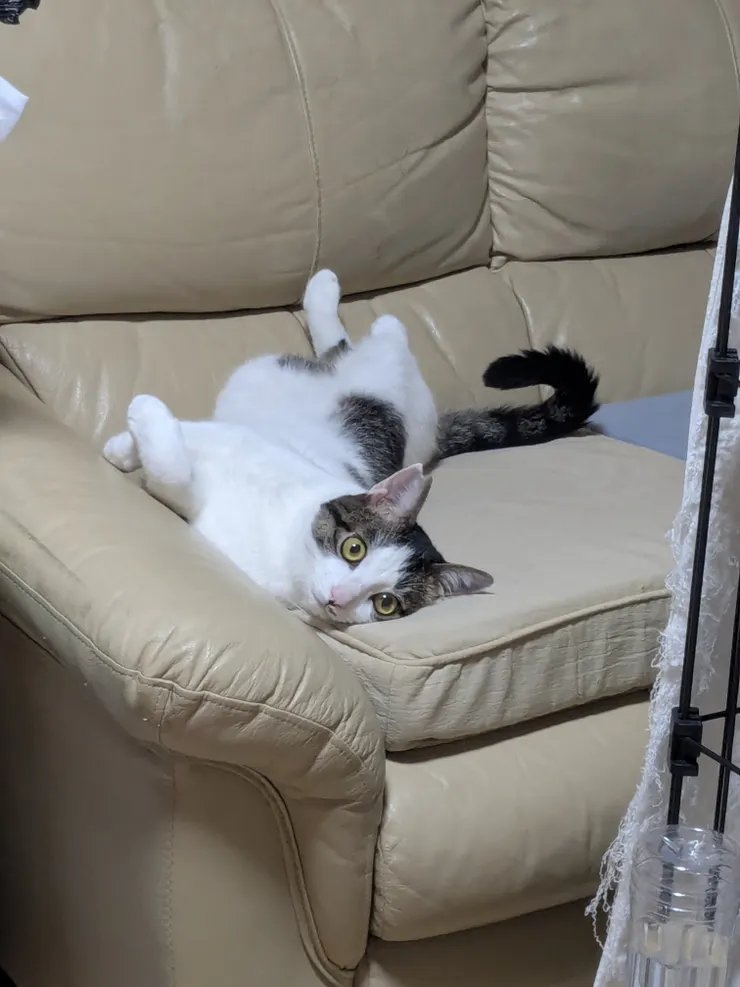 アイキャッチ