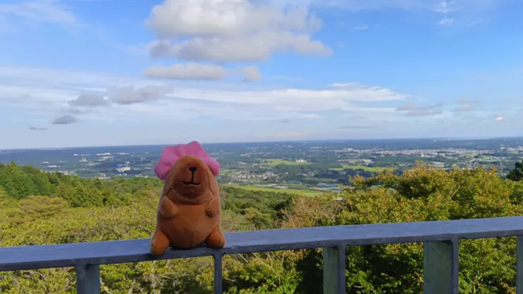アイキャッチ
