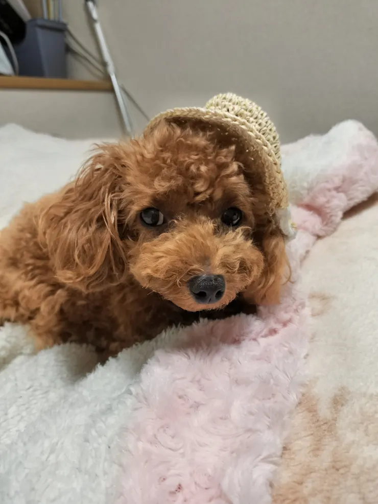 アイキャッチ