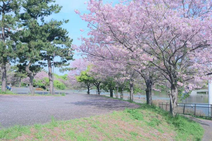 アイキャッチ