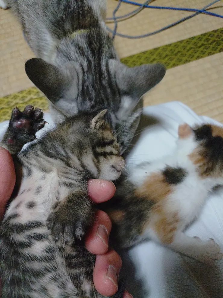 アイキャッチ
