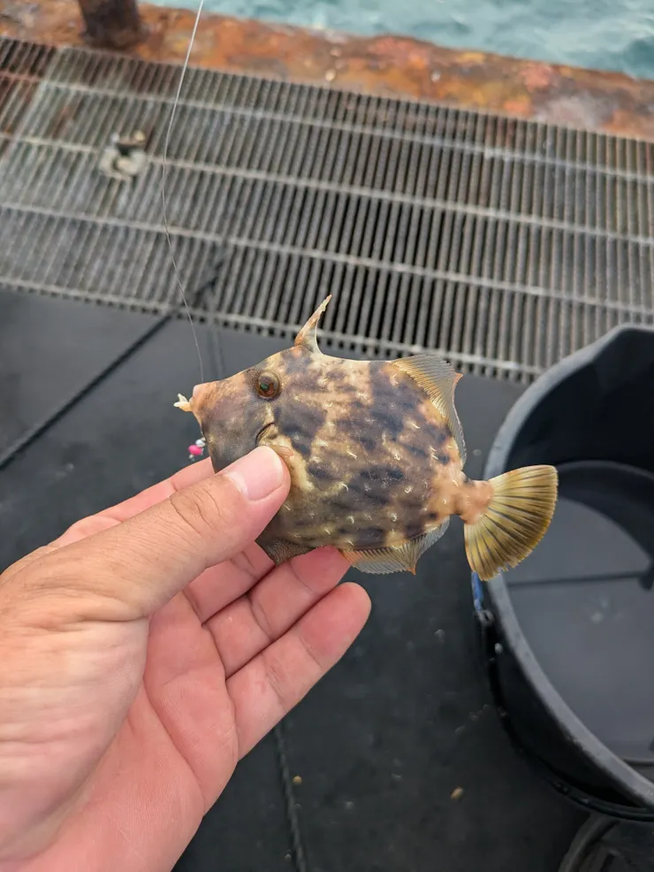 アイキャッチ