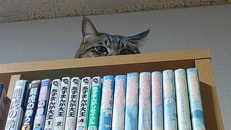 アイキャッチ