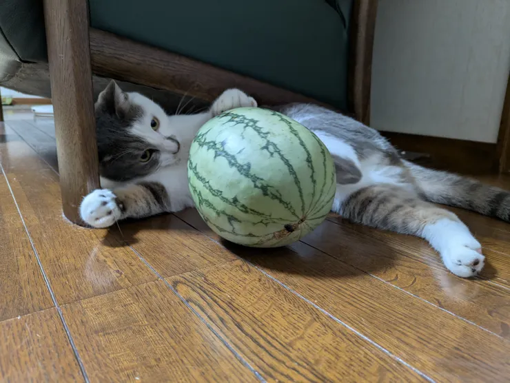 アイキャッチ