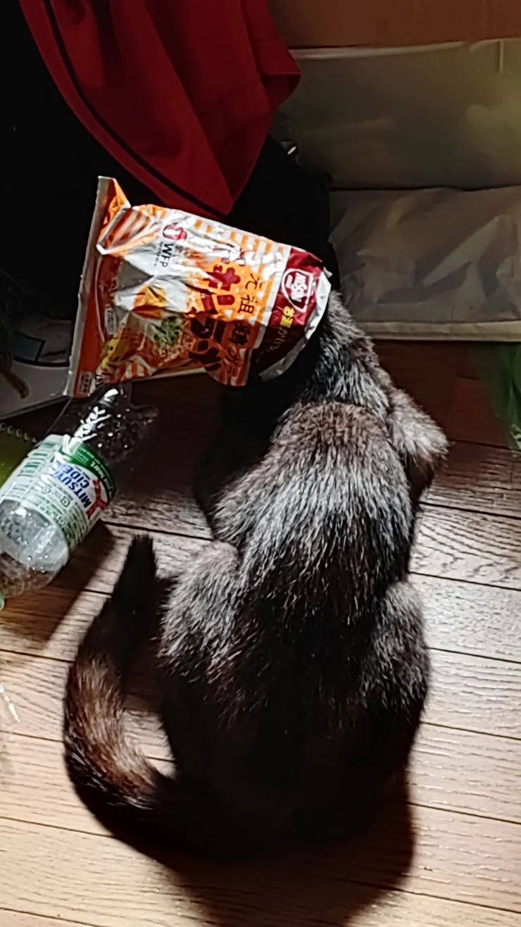 アイキャッチ