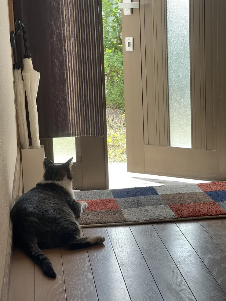 アイキャッチ