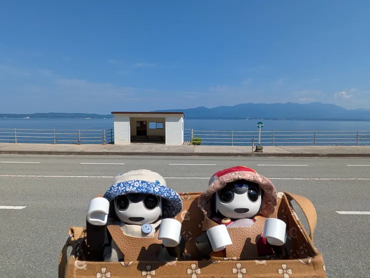 アイキャッチ