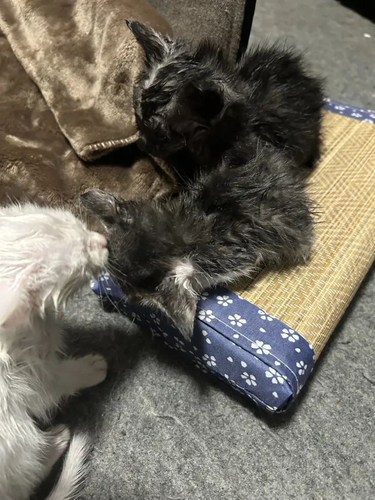 アイキャッチ