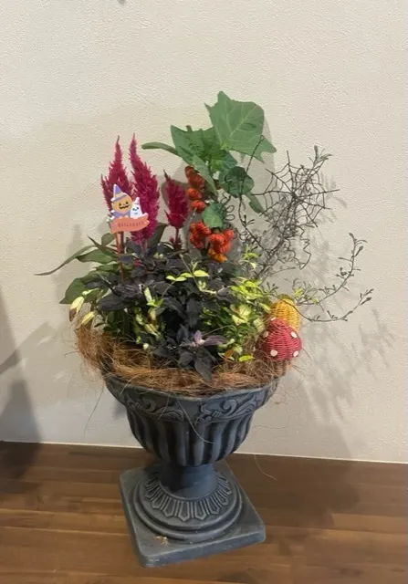 アイキャッチ