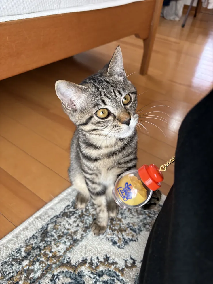 アイキャッチ