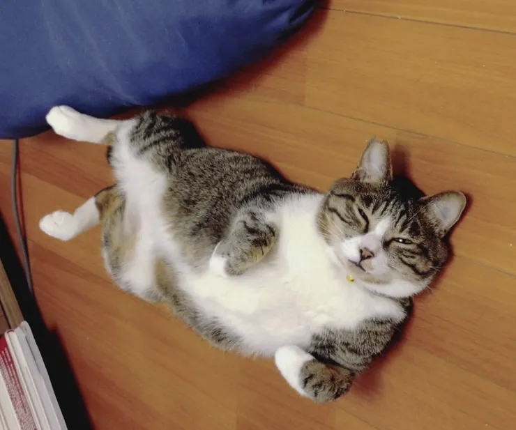 アイキャッチ