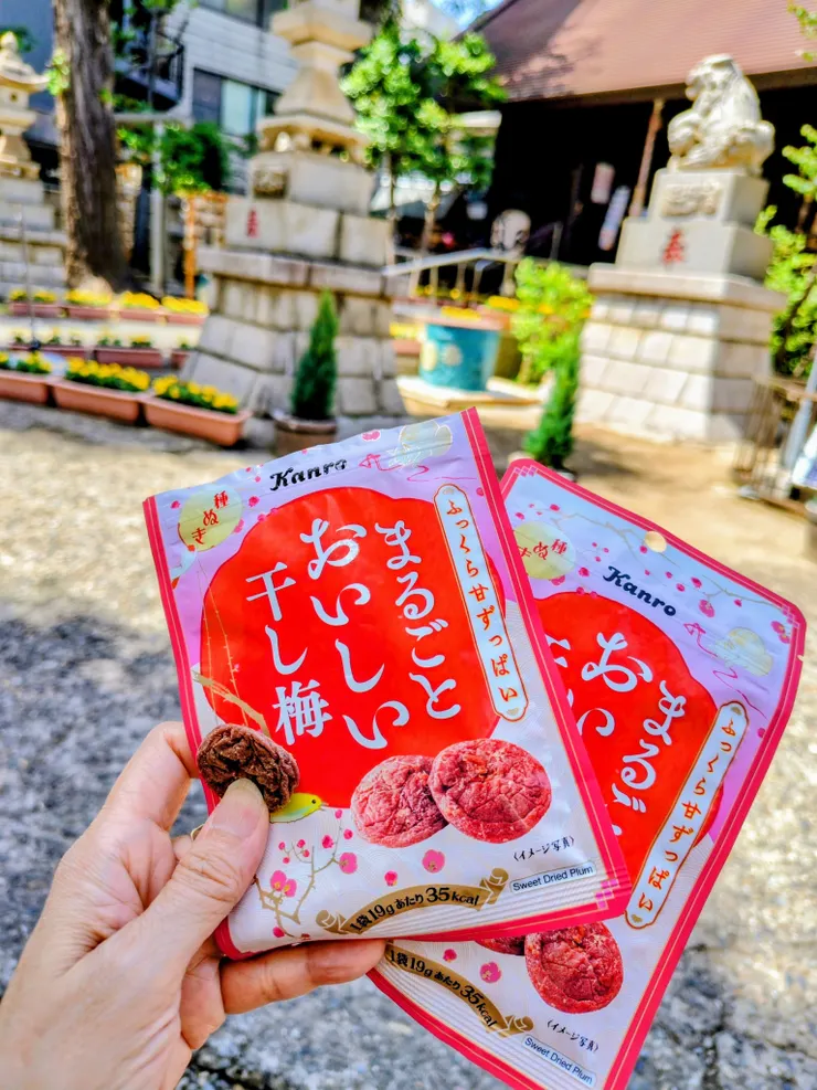 アイキャッチ
