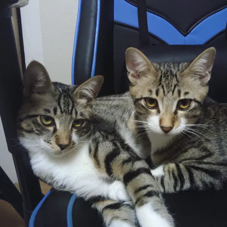 アイキャッチ