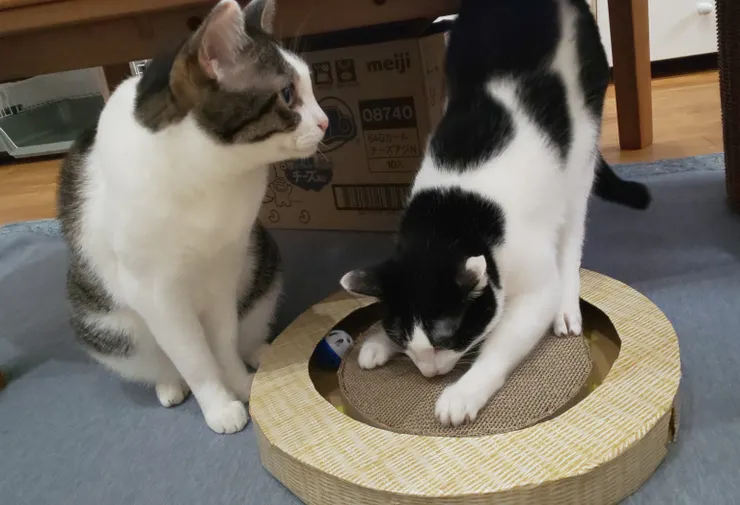 アイキャッチ