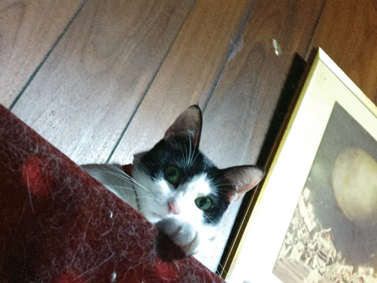 アイキャッチ