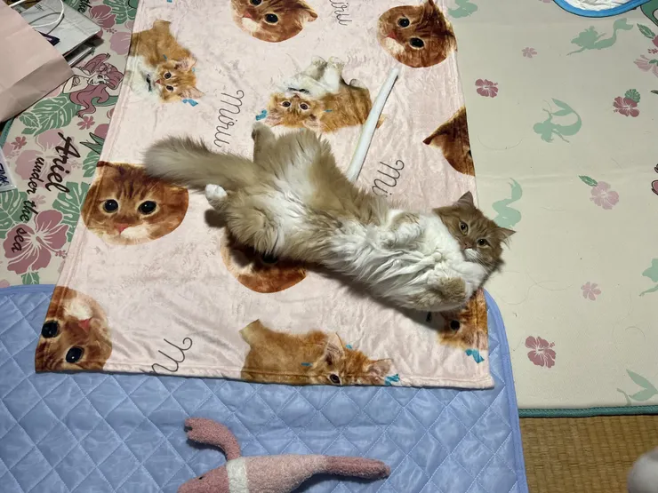 アイキャッチ