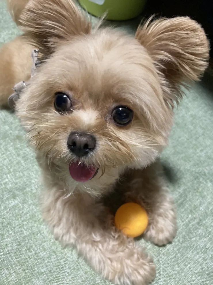 アイキャッチ