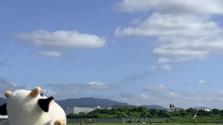 アイキャッチ