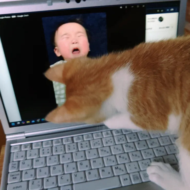 アイキャッチ