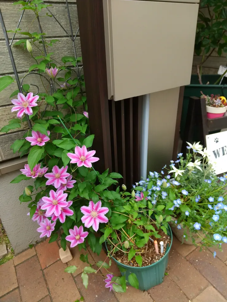 アイキャッチ
