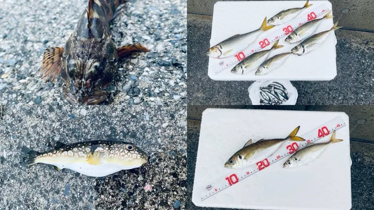 アイキャッチ
