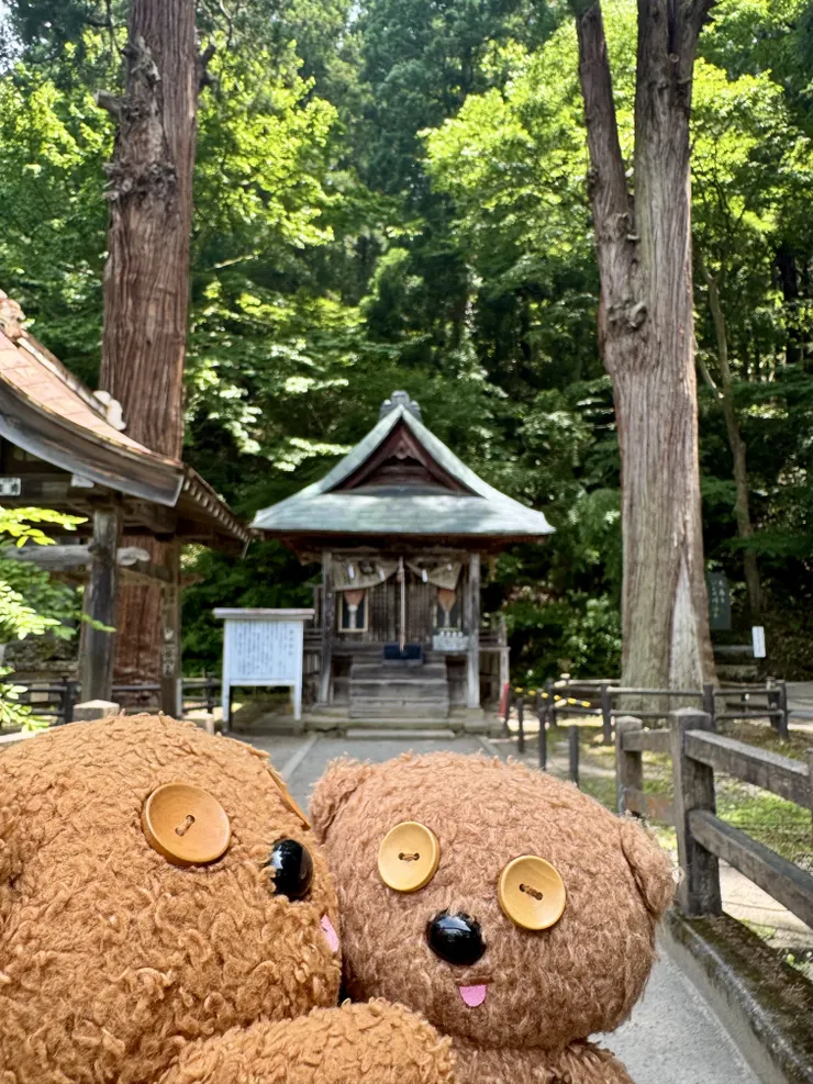 アイキャッチ