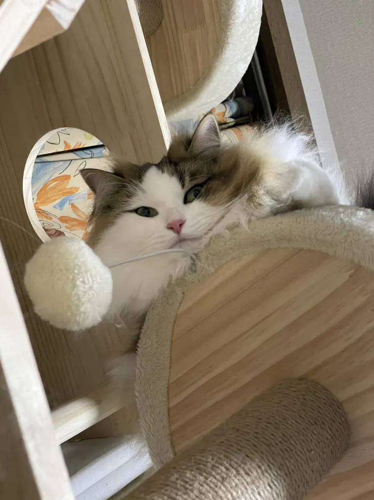 アイキャッチ