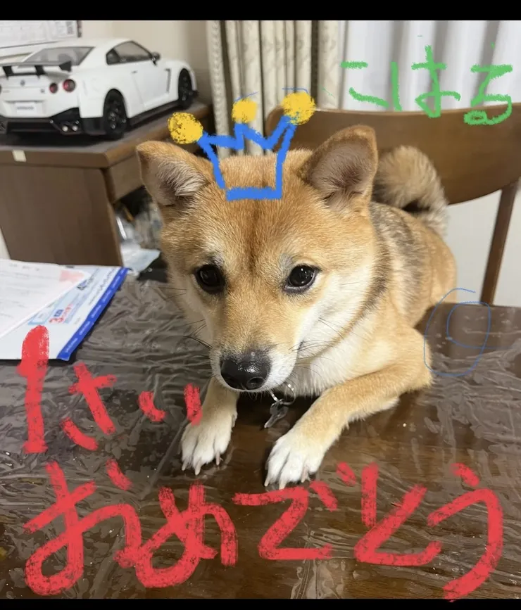 アイキャッチ