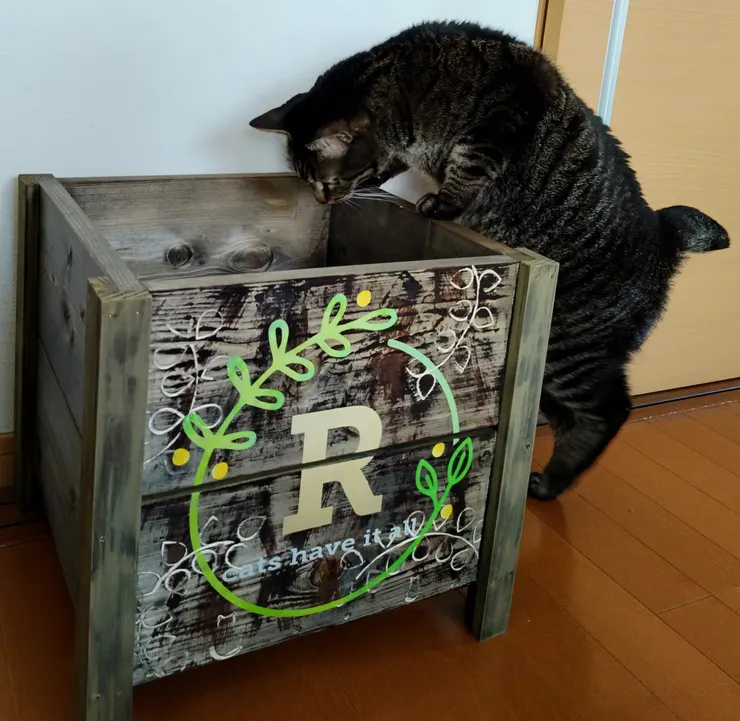 アイキャッチ