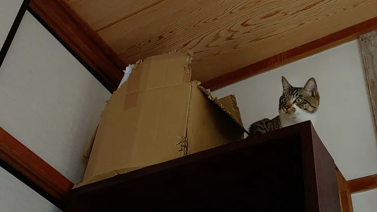 アイキャッチ