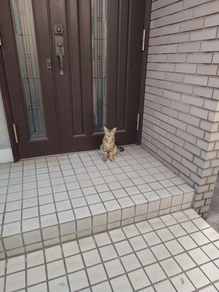 アイキャッチ