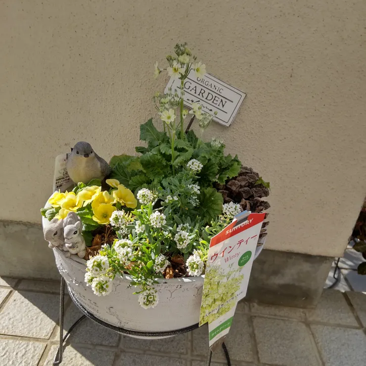 アイキャッチ