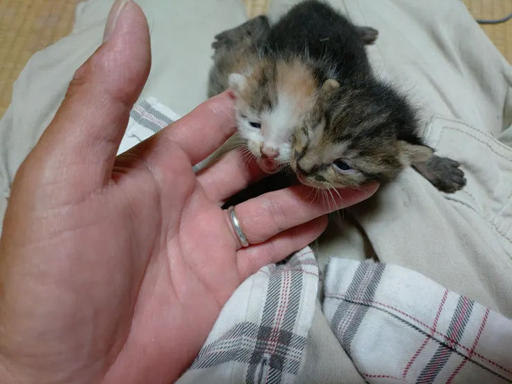 アイキャッチ