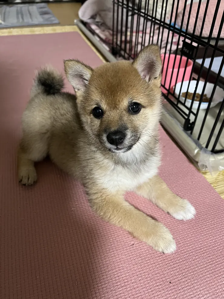 アイキャッチ