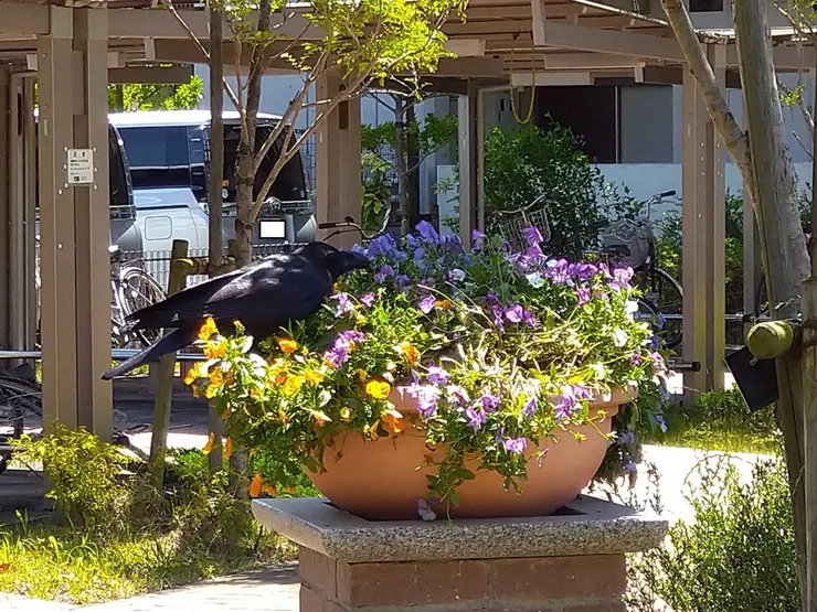 アイキャッチ
