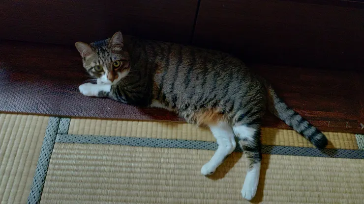 アイキャッチ