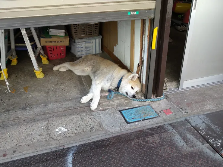 アイキャッチ