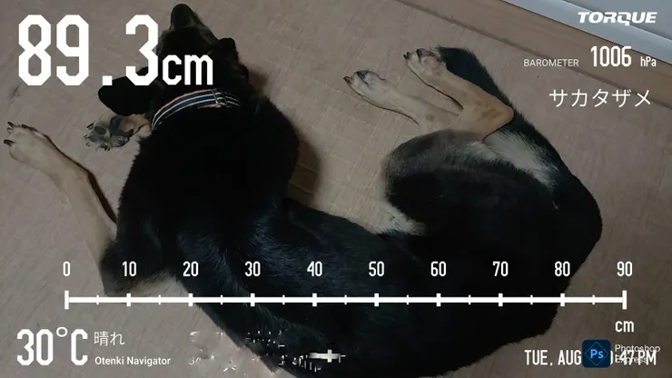 アイキャッチ