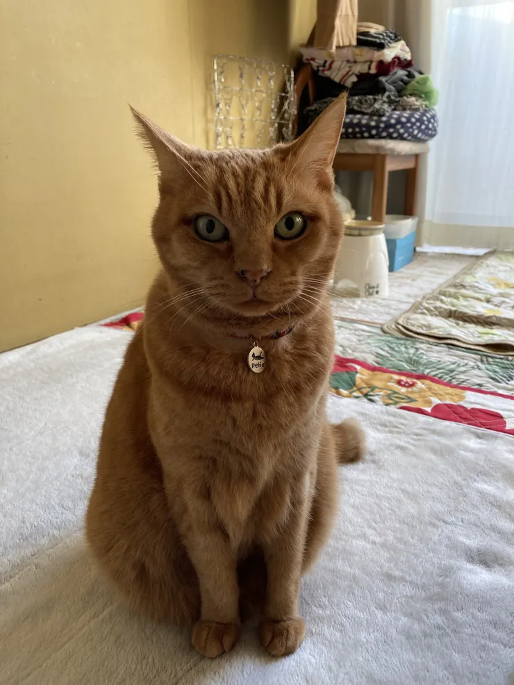 アイキャッチ