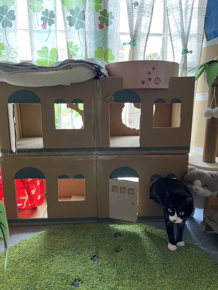 アイキャッチ