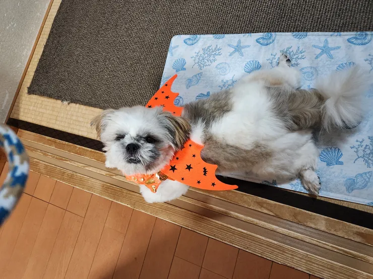 アイキャッチ
