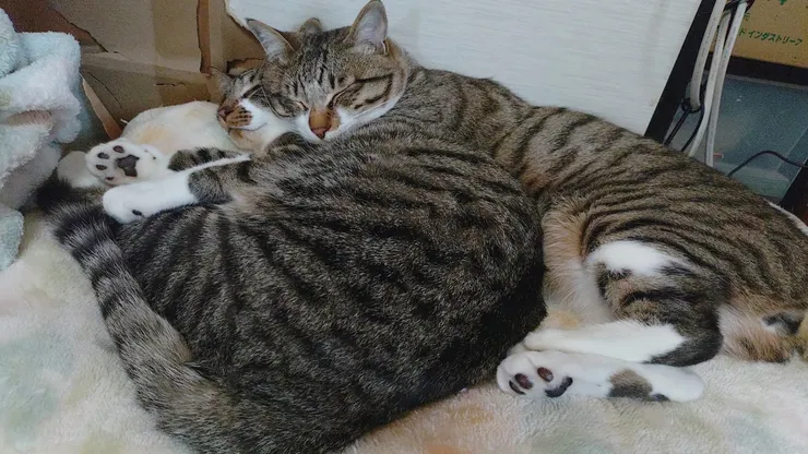 アイキャッチ