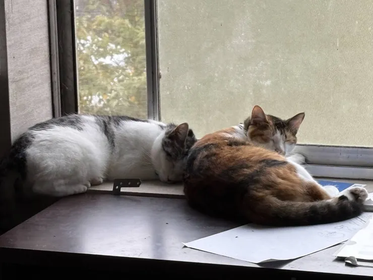 アイキャッチ