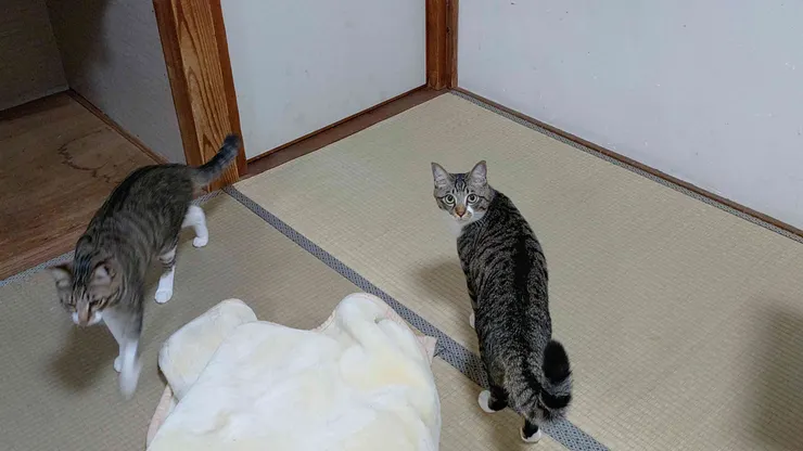 アイキャッチ