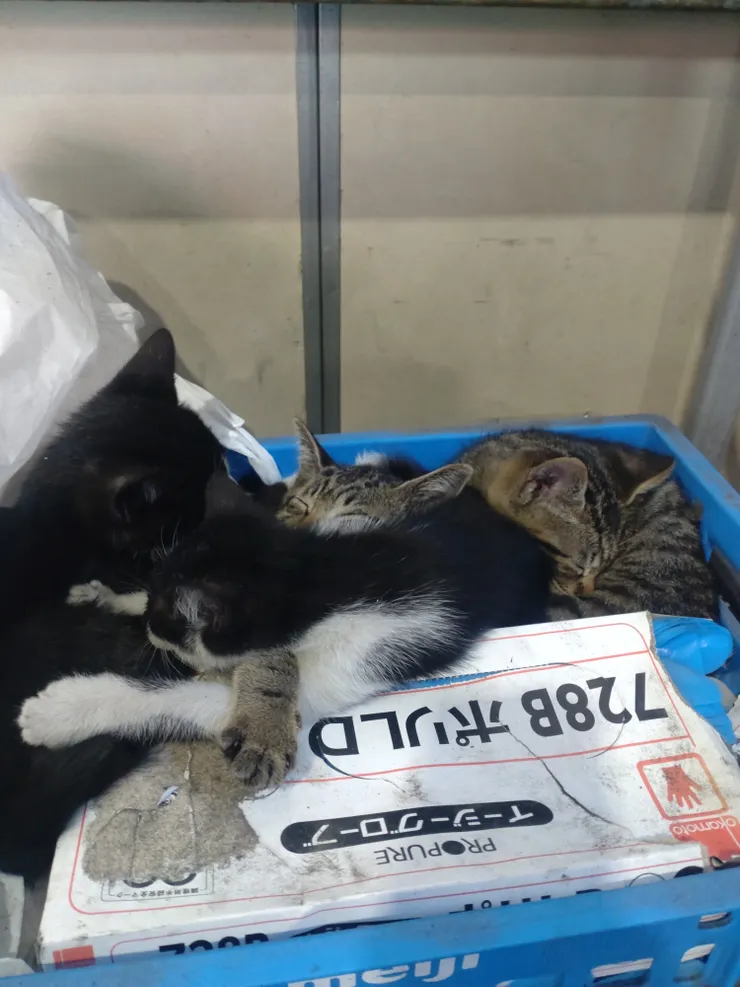アイキャッチ